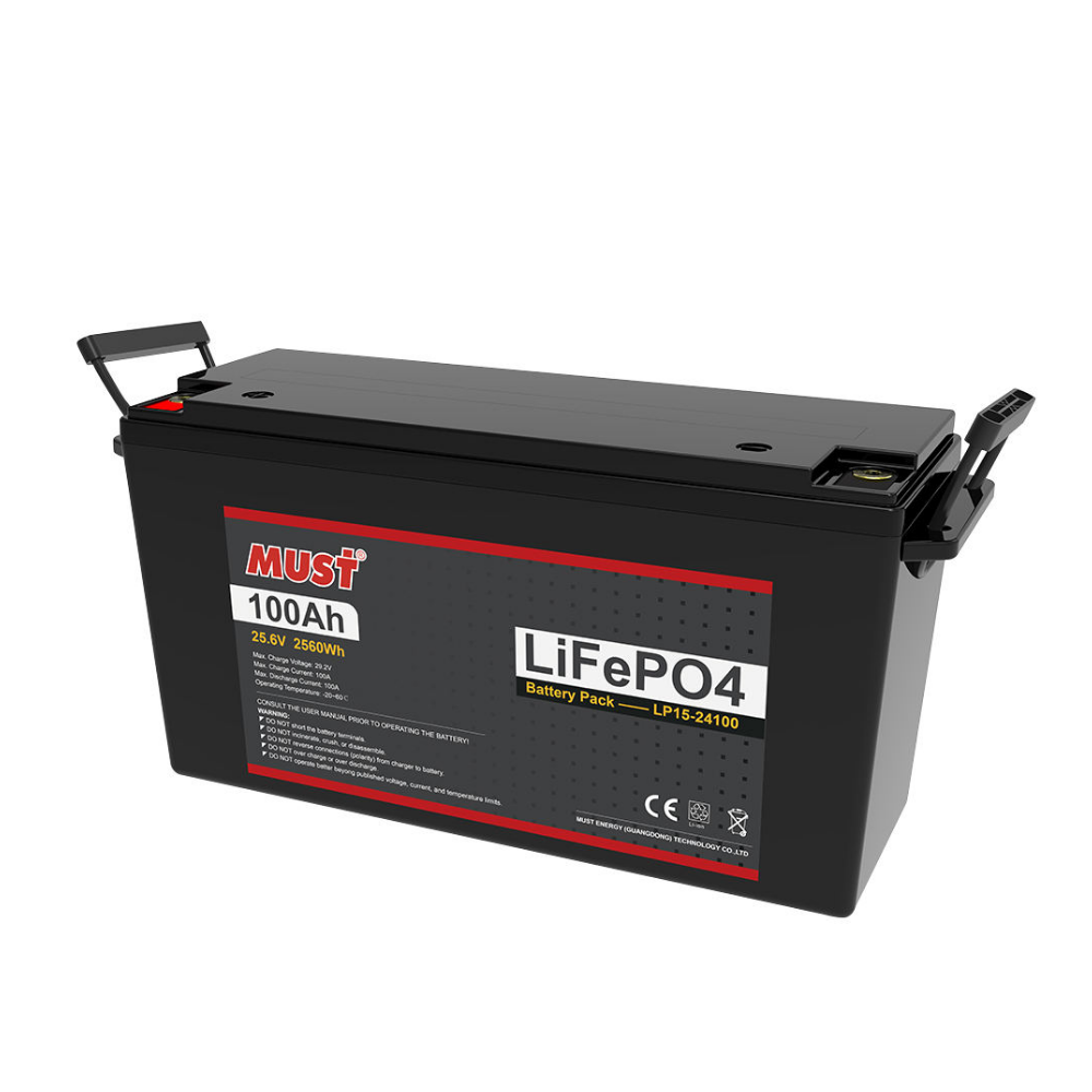 6V) LFP15-24100 100Ah